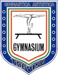 Gymnasium_Treviso